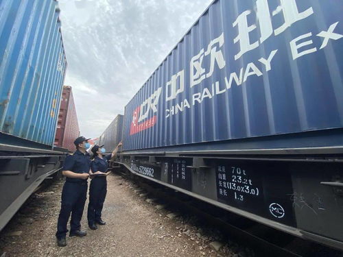 國際海關日 守護國門，全力以赴保障供應鏈穩(wěn)定高效